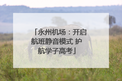 永州机场：开启航班静音模式 护航学子高考