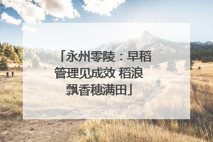 永州零陵：早稻管理见成效 稻浪飘香穗满田