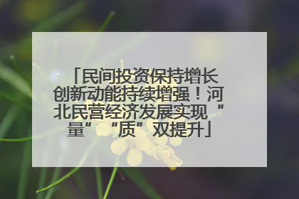 民间投资保持增长 创新动能持续增强！河北民营经济发展实现“量”“质”双提升