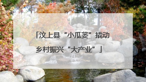 汶上县“小瓜蒌”撬动乡村振兴“大产业”