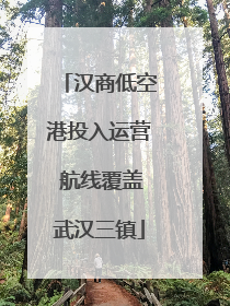 汉商低空港投入运营 航线覆盖武汉三镇