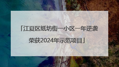江夏区纸坊街一小区一年逆袭 荣获2024年示范项目