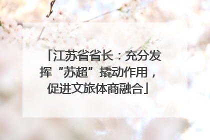 江苏省省长：充分发挥“苏超”撬动作用，促进文旅体商融合
