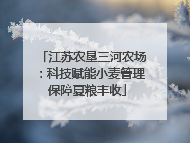 江苏农垦三河农场：科技赋能小麦管理保障夏粮丰收