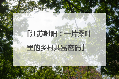 江苏射阳：一片桑叶里的乡村共富密码
