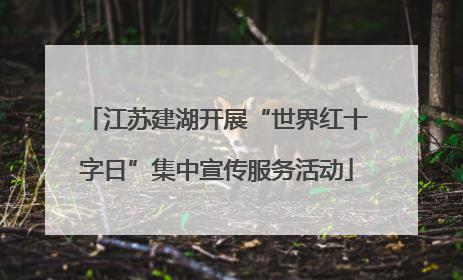 江苏建湖开展“世界红十字日”集中宣传服务活动