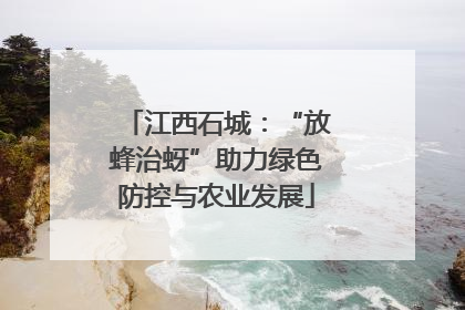 江西石城：“放蜂治蚜”助力绿色防控与农业发展
