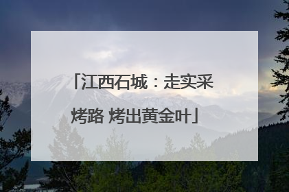 江西石城：走实采烤路 烤出黄金叶