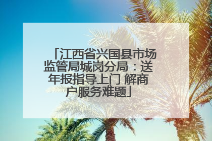 江西省兴国县市场监管局城岗分局：送年报指导上门 解商户服务难题