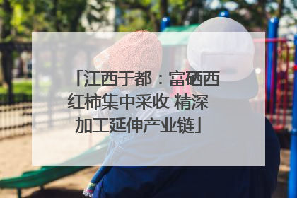 江西于都：富硒西红柿集中采收 精深加工延伸产业链