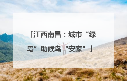 江西南昌：城市“绿岛”助候鸟“安家”