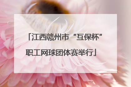 江西赣州市“互保杯”职工网球团体赛举行