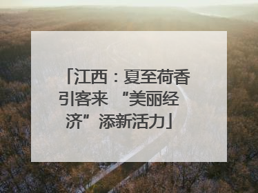 江西：夏至荷香引客来 “美丽经济”添新活力