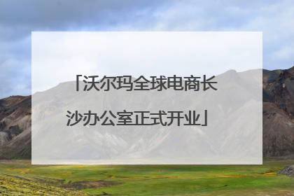 沃尔玛全球电商长沙办公室正式开业