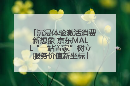 沉浸体验激活消费新想象 京东MALL“一站置家”树立服务价值新坐标