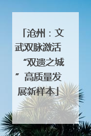 沧州：文武双脉激活“双遗之城”高质量发展新样本