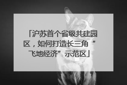 沪苏首个省级共建园区，如何打造长三角“飞地经济”示范区