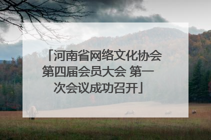 河南省网络文化协会第四届会员大会 第一次会议成功召开
