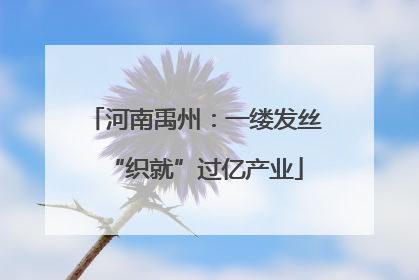 河南禹州：一缕发丝“织就”过亿产业
