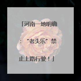 河南一地明确：“老头乐”禁止上路行驶！