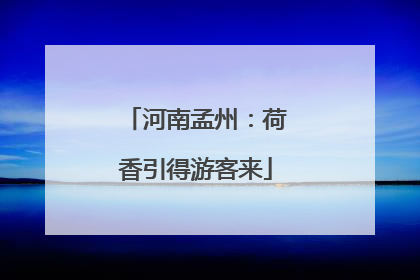 河南孟州：荷香引得游客来