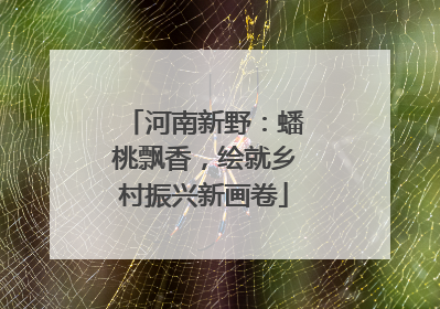 河南新野：蟠桃飘香，绘就乡村振兴新画卷