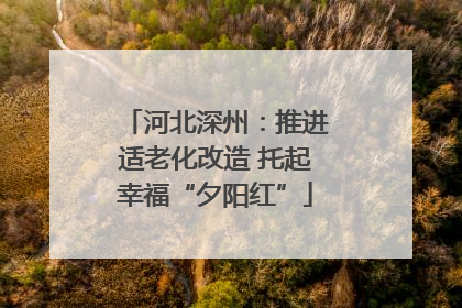 河北深州：推进适老化改造 托起幸福“夕阳红”