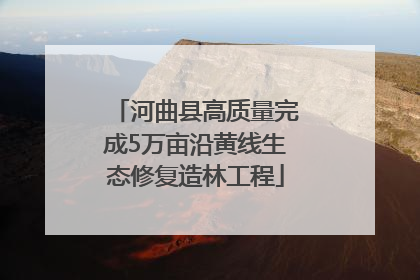 河曲县高质量完成5万亩沿黄线生态修复造林工程