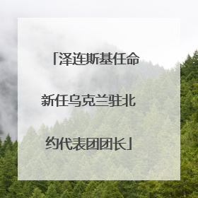 泽连斯基任命新任乌克兰驻北约代表团团长