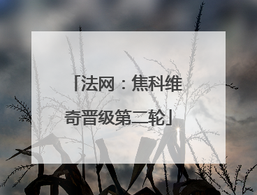 法网：焦科维奇晋级第二轮