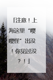 注意！上海这里“嘤嘤怪”出没！你见过没？！