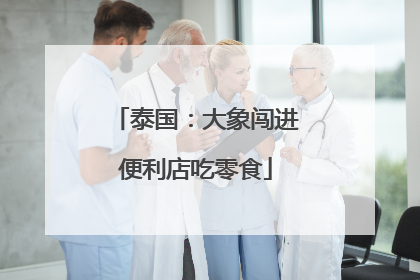 泰国：大象闯进便利店吃零食