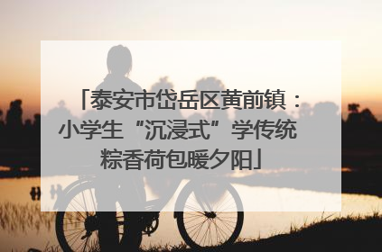 泰安市岱岳区黄前镇：小学生“沉浸式”学传统 粽香荷包暖夕阳