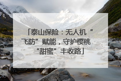 泰山保险：无人机“飞防”赋能，守护樱桃“甜蜜”丰收路