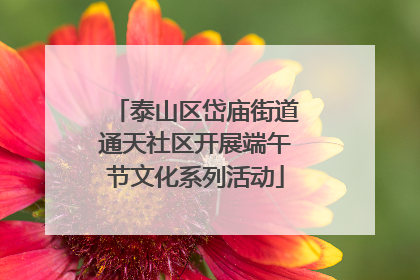 泰山区岱庙街道通天社区开展端午节文化系列活动