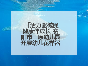 活力器械操 健康伴成长 襄阳市三原幼儿园开展幼儿花样器械操展示活动