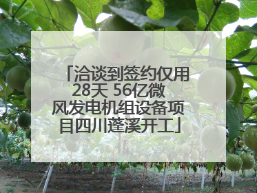 洽谈到签约仅用28天 56亿微风发电机组设备项目四川蓬溪开工
