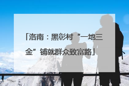 洛南：黑彰村“一地三金”铺就群众致富路