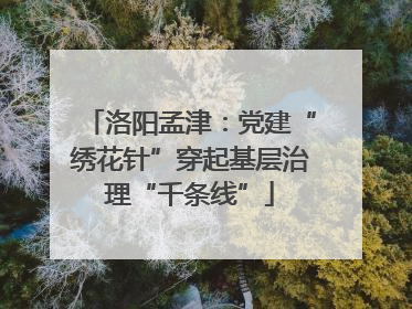 洛阳孟津：党建“绣花针”穿起基层治理“千条线”