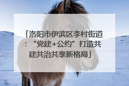 洛阳市伊滨区李村街道：“党建+公约”打造共建共治共享新格局