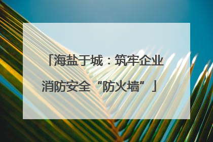海盐于城：筑牢企业消防安全“防火墙”
