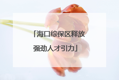 海口综保区释放强劲人才引力