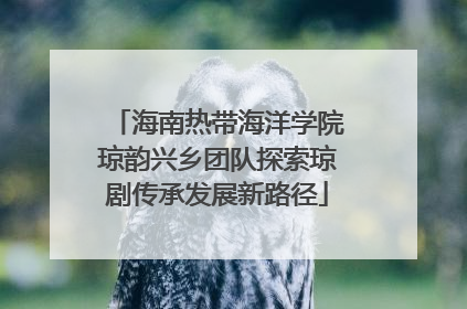 海南热带海洋学院琼韵兴乡团队探索琼剧传承发展新路径