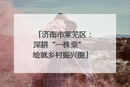济南市莱芜区：深耕“一株桑” 绘就乡村振兴图