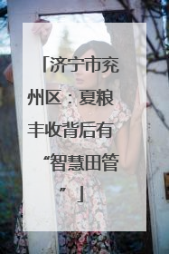 济宁市兖州区：夏粮丰收背后有“智慧田管”