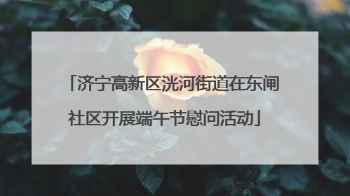济宁高新区洸河街道在东闸社区开展端午节慰问活动