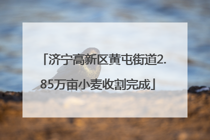 济宁高新区黄屯街道2.85万亩小麦收割完成