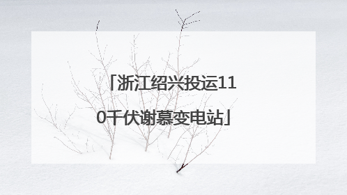 浙江绍兴投运110千伏谢慕变电站