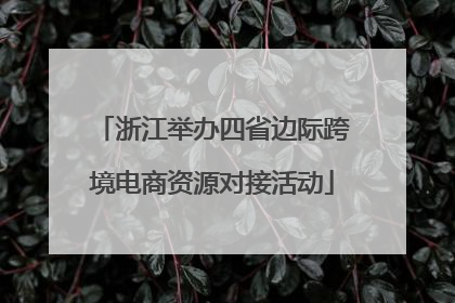 浙江举办四省边际跨境电商资源对接活动