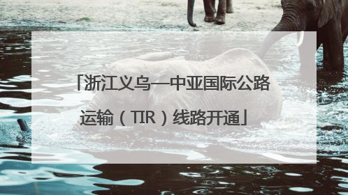 浙江义乌—中亚国际公路运输（TIR）线路开通